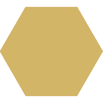 Codicer Hex25 Basic hexagon vloertegel 25x22 Dandelion