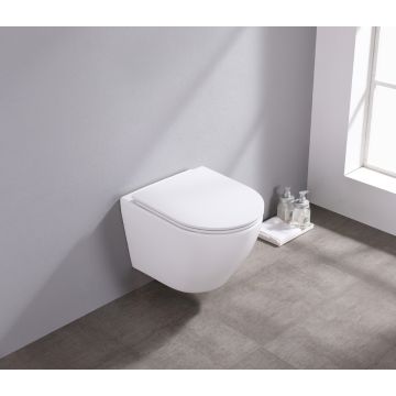 saniclear-itsie-mat-witte-toiletpot-randloos-met-softclose-zitting-sk36778_3_