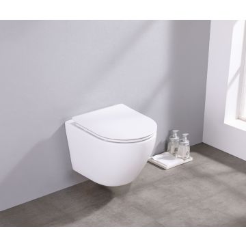 saniclear-itsie-witte-toiletpot-randloos-met-softclose-zitting-sk36777_2__1