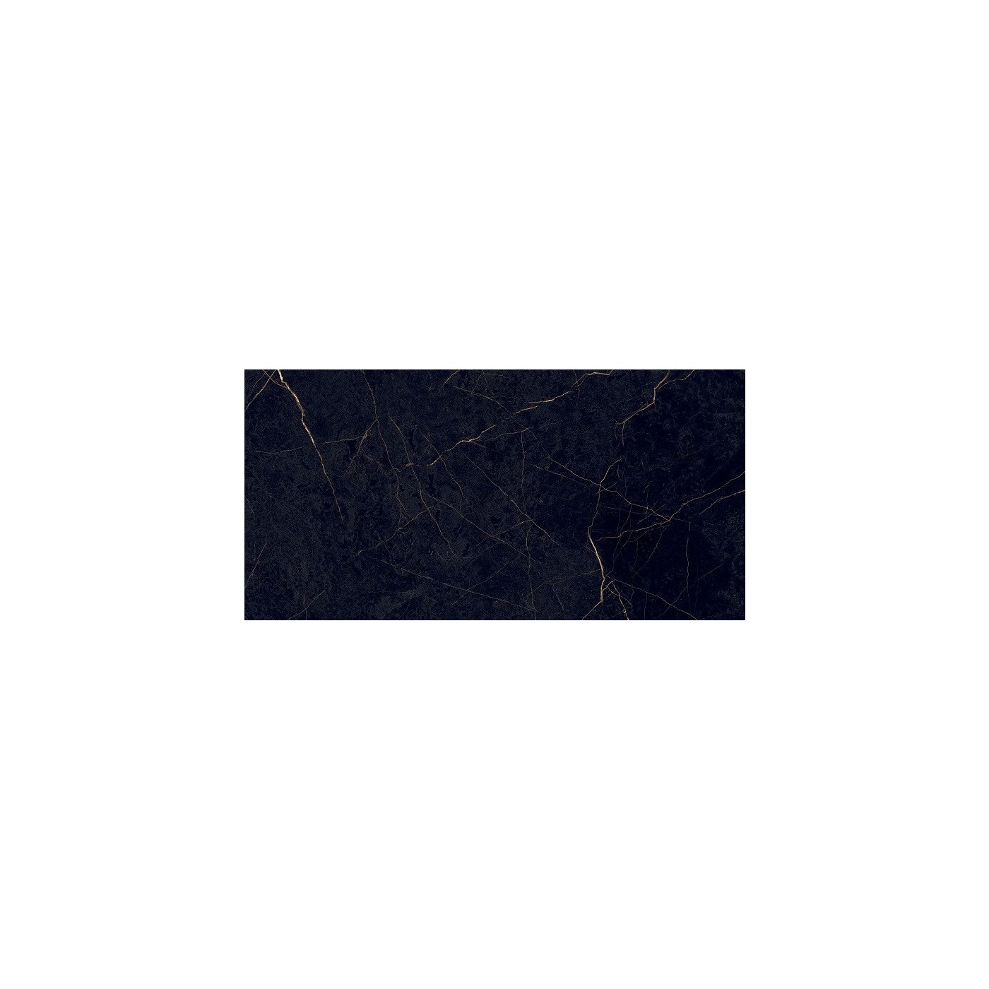 Flaviker Supreme Evo vloertegel 60x120 Noir Laurent glans