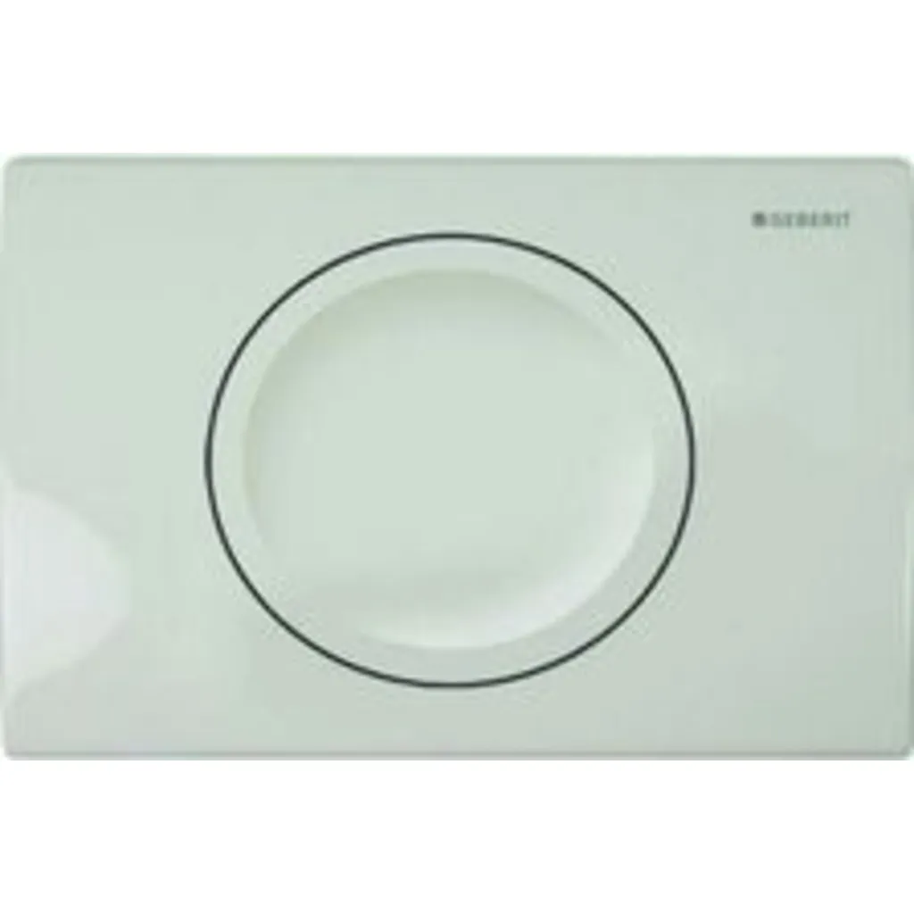 Afbeelding 1 Geberit Delta-15 enkele drukplaat wit