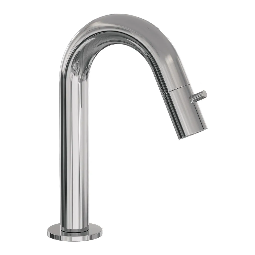 Afbeelding 1 Brauer Chrome Edition opbouw fonteinkraan met gebogen uitloop chroom