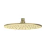 IVY Toebehoren Hoofddouche medium 25cm met antikalk nozzels RVS316 geborsteld mat goud PVD