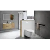 afbeelding 3 Sapho Veen Clean wandtoilet met geïntegreerd elektronisch bidet