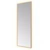 Afbeelding 1 Hotbath &More SQU380 Square spiegel 30x80cm met verlichting, kleurwissel, dimbaar en afstandsbediening geborsteld koper PVD
