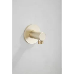 Afbeelding 1 Saniclear Plus wand wateraansluiting geborsteld messing mat goud