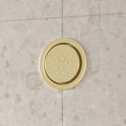 Afbeelding 1 Saniclear Brass inbouw massage jet rond geborsteld messing - mat goud