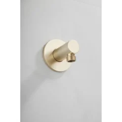 Afbeelding 2 Saniclear Plus wand wateraansluiting geborsteld messing mat goud
