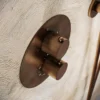 Afbeelding 3 Saniclear Antique Curved inbouw regendouche 20cm met ronde massagejets en muurarm verouderd messing