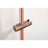 Saniclear Plus douche glijstang met wateraansluiting 60cm geborsteld koper 23 Afbeelding 7 Saniclear Plus douche glijstang met wateraansluiting 60cm geborsteld koper